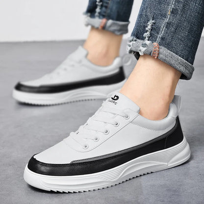 Zapato de Cuero Casual