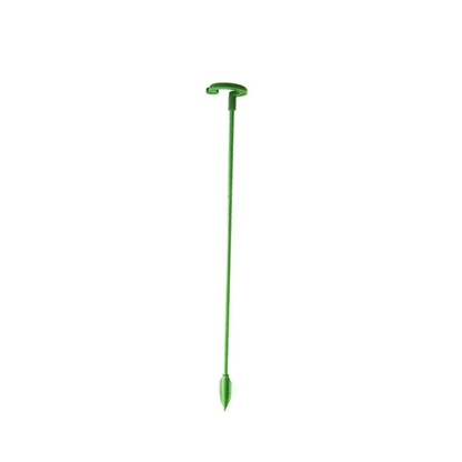 Single Plant Stem