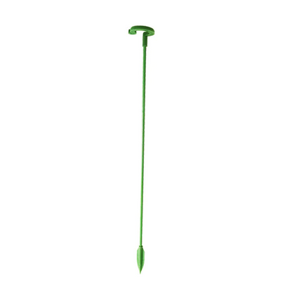 Single Plant Stem