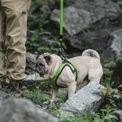 Tail Protector™ Dog Harness