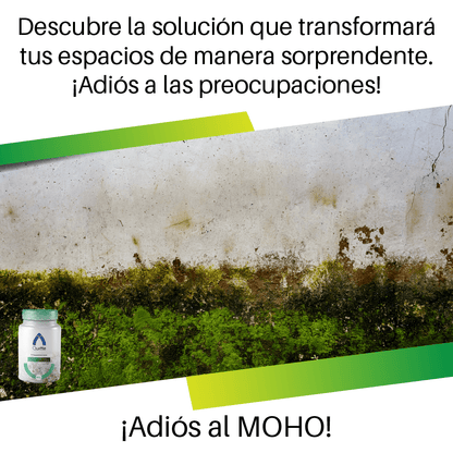 Eliminador de Moho Quitte | COMPRA 1 LLEVA 1 GRATIS